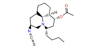 Cylindricine J
